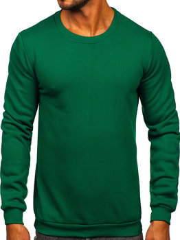 Žalias vyriškas džemperis be gobtuvo Bolf HW3102